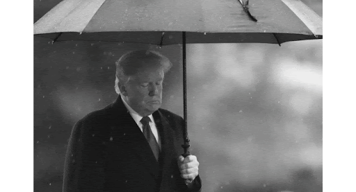 Trump Gif