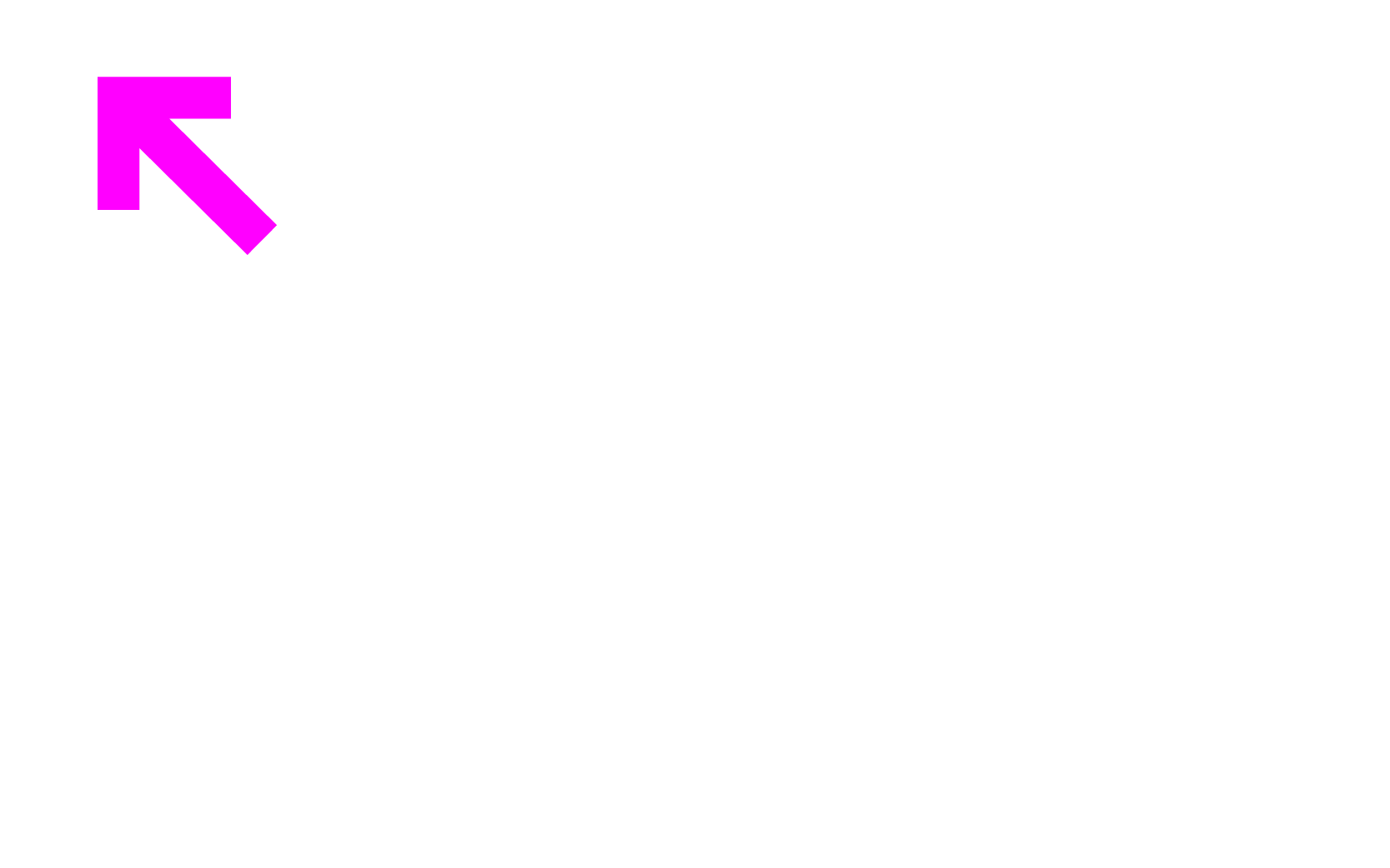 View Trans Justice Project Website