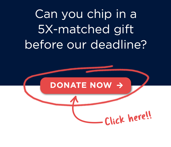 Can you chip in a 5X-matched gift before the deadline? 