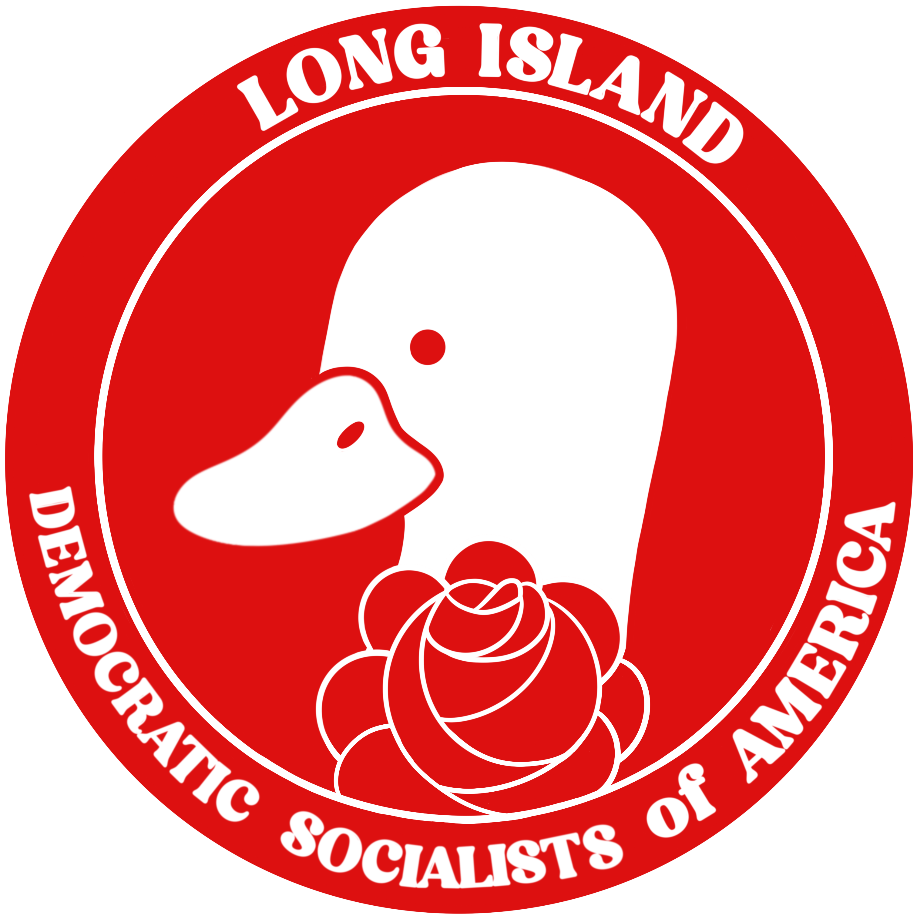 Long Island DSA