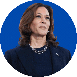 2028 Presidential Polling GIF