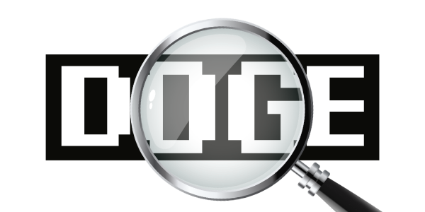 Hold DOGE Accountable