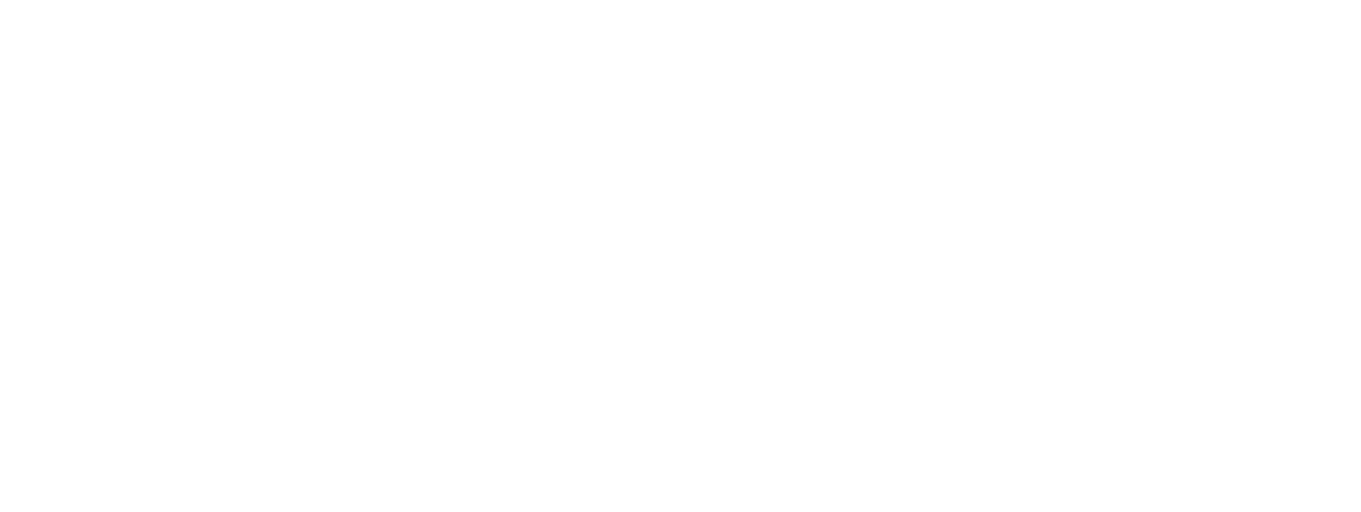 Illapa Sairitupac for New York Assembly District 65