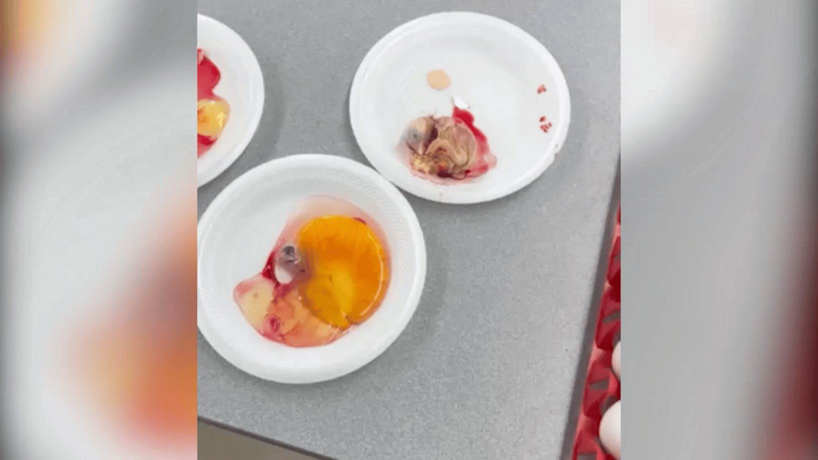 three plates